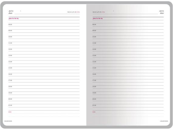 Ежедневник недатированный А6+ «Sidney Nebraska»