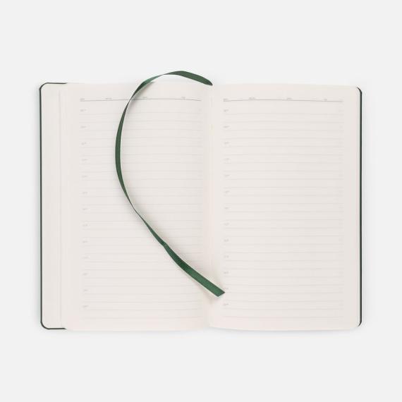 Ежедневник Magnet Shall с ручкой, зеленый
