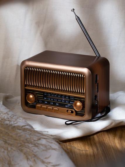 Bluetooth-колонка с радио Beatnik, коричневая